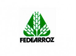 Fedearroz